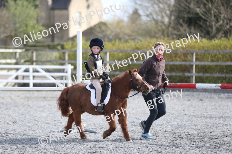 20260412-0077 - Show Jumping