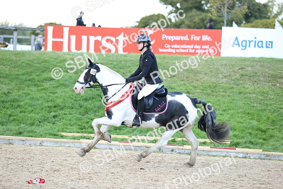 SBM_54462 - Supreme Championship 70cm 75cm