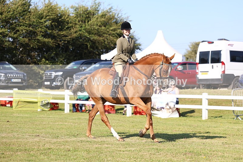 3E7A5290 - Class 2: Rising Star Large Hack/Riding Horse