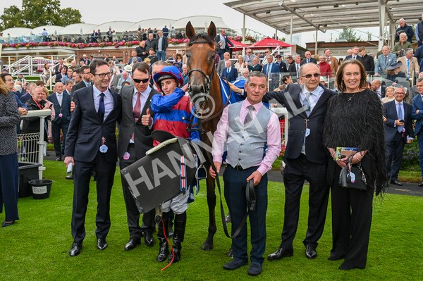 220824-Race 4-Content-7067 - Race 4 3.35pm Pertemps Network Yorkshire Oaks