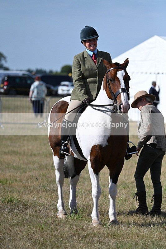 WJ7_2738 - Class 8 Ridden Tack & Turnout