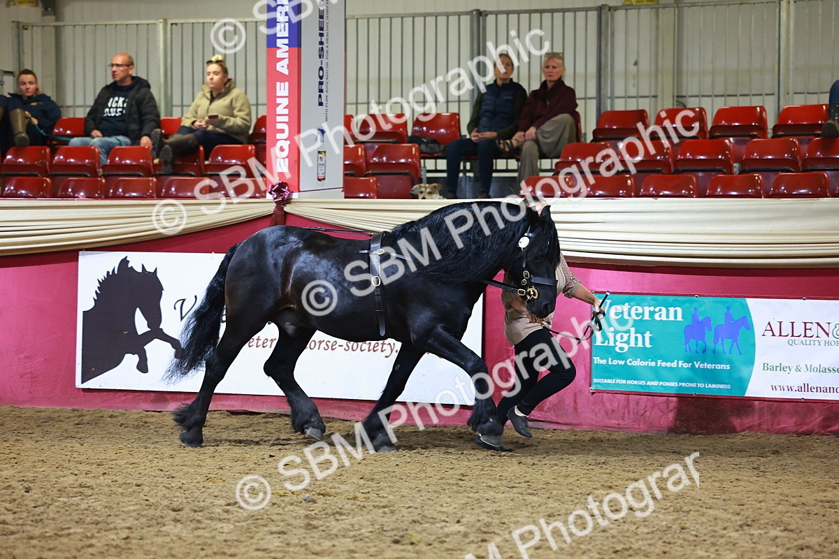 SBM_15220 - Class P - M&M Champ