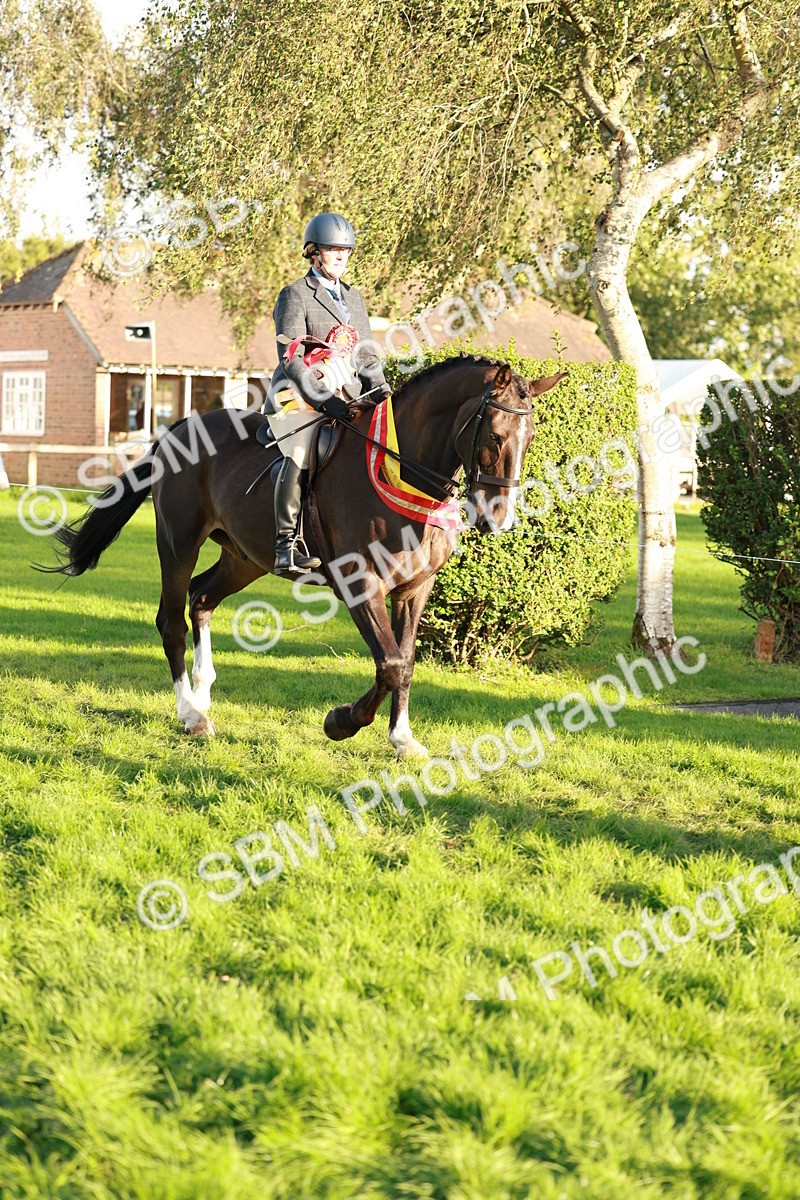 SBM_29345 - Novice & newcomer Supreme Championship
