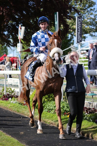 yr11052022r7-34 - Race 7 5.15pm British Stallion Studs EBF Novice Stakes