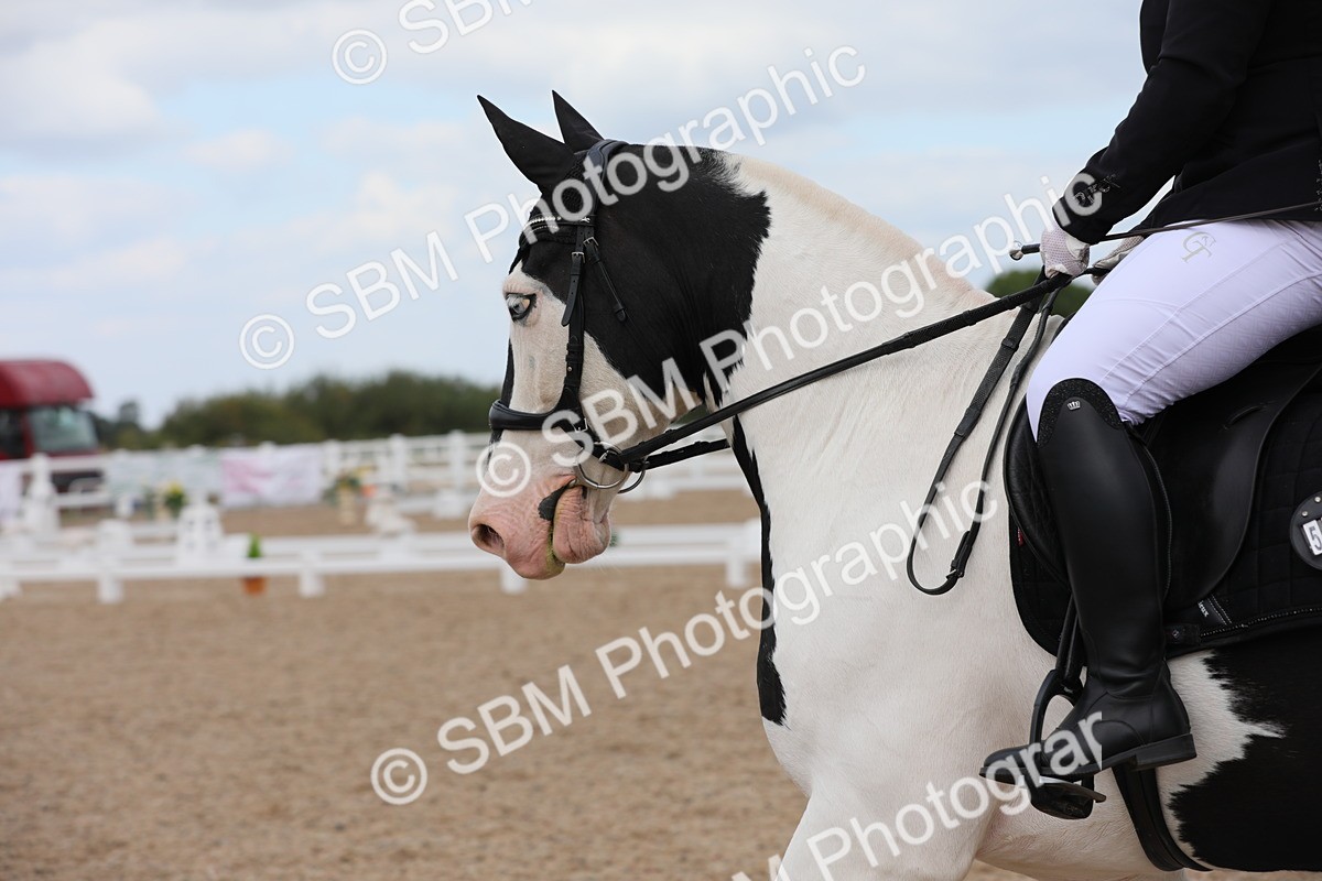 SBM_05587 - Class 32 Novice 1