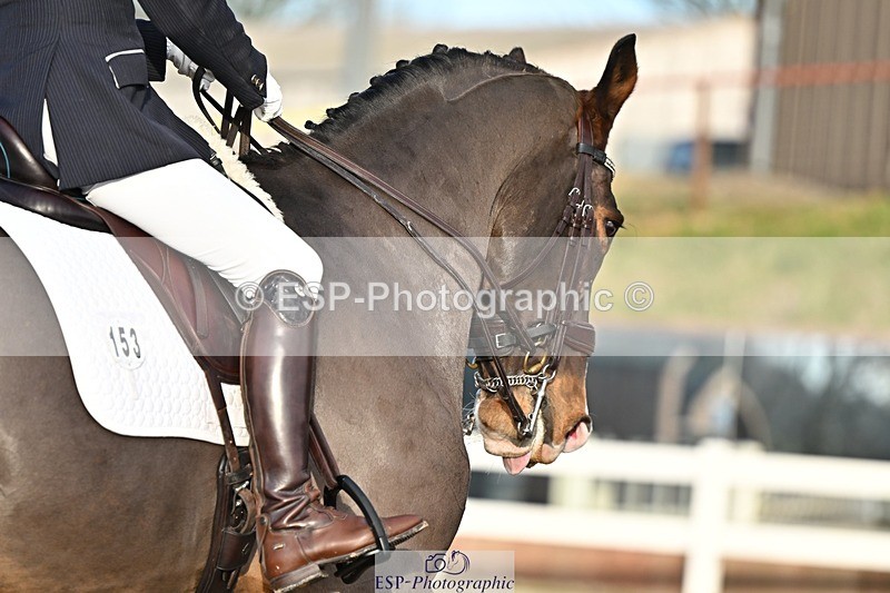 241214-141535-02771 - 153-Sally.Bell-Hilton.VI