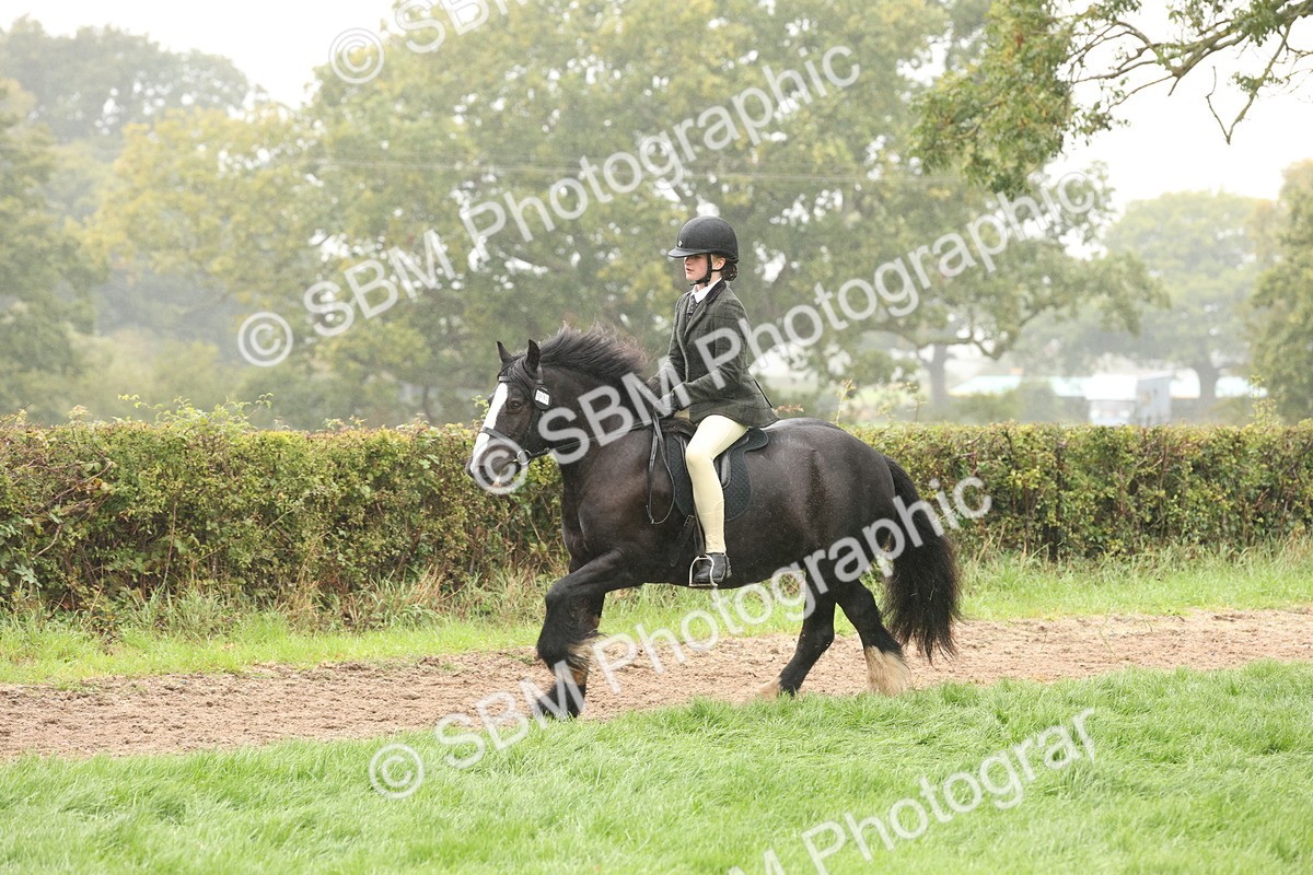 SBM_72725 - S70 - Traditional Cob Ridden