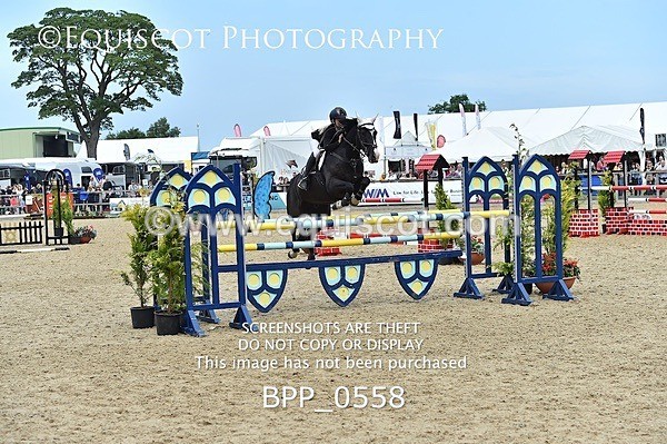 BPP_0558 - RHS 2019 Selection - *Just some random spectator shots so Lucky Dip if you are there!