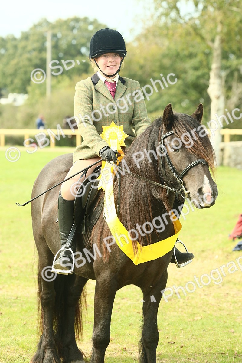 SBM_69408 - S58 - Mini Show Cob Ridden