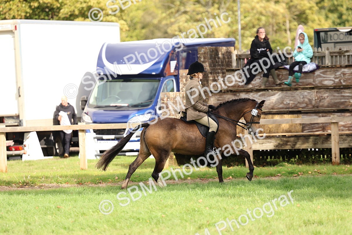 SBM_47719 - S28 - Veteran Ridden