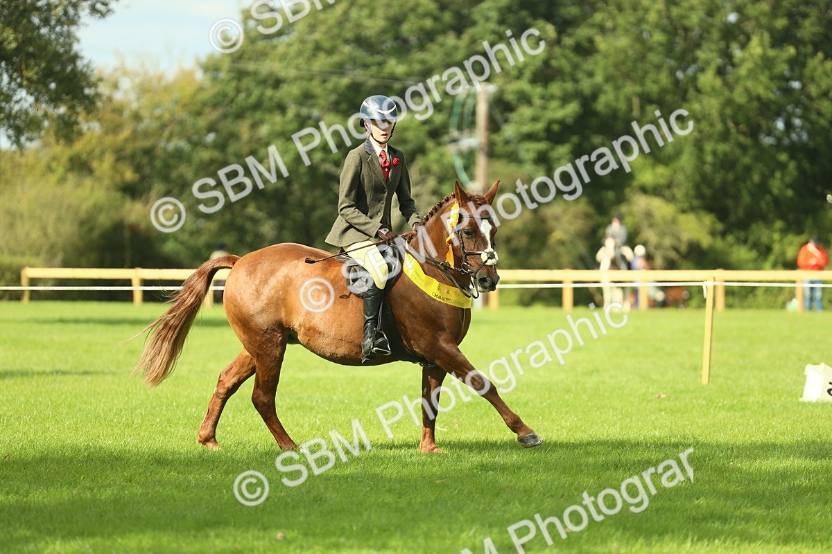 SBM_44928 - Working Hunter Pony Supreme Championship