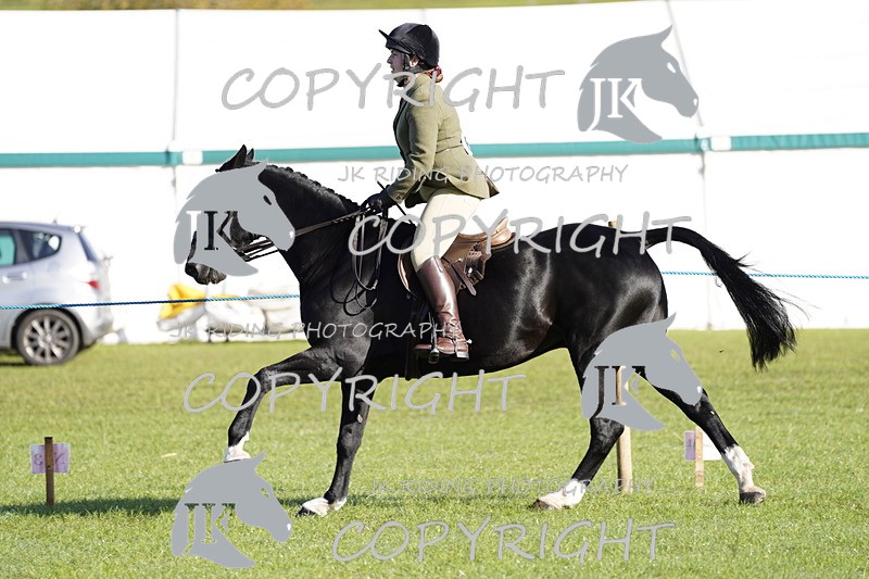 _DSC9456 - Class 8 & 17 Ridden Hunter & Ridden Hunter Pony