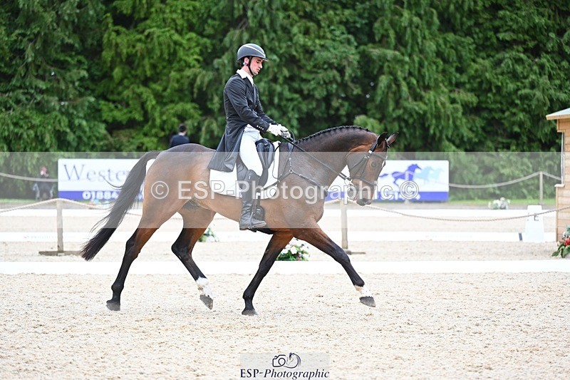 240524-175904-11539 - 162-HAZZLE_DAZZLE-Henry_Hobby