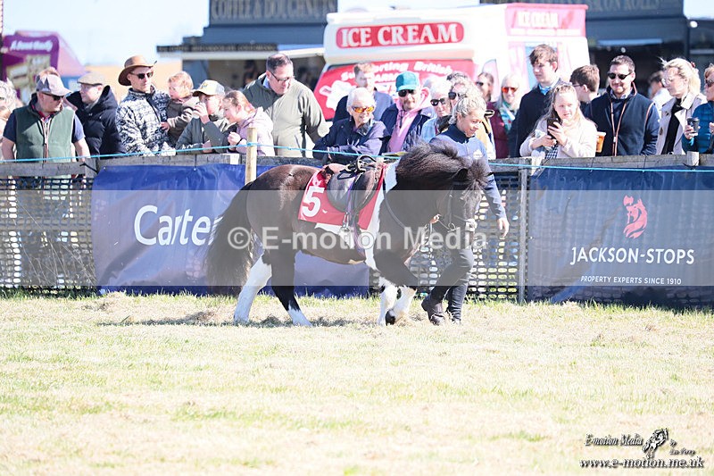 Shet 060426 9 - Shetland Pony Racing Paxford Races Easter Mon 06/04/26