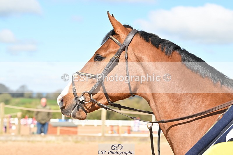 240418A-103948-02098 - Cls 1 2 Star Small Tour 1.30m