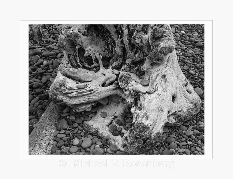 Driftwood 32, Rialto Beach WA (2014/D00632) - CALIFORNIA, OREGON, AND WASHINGTON STATES