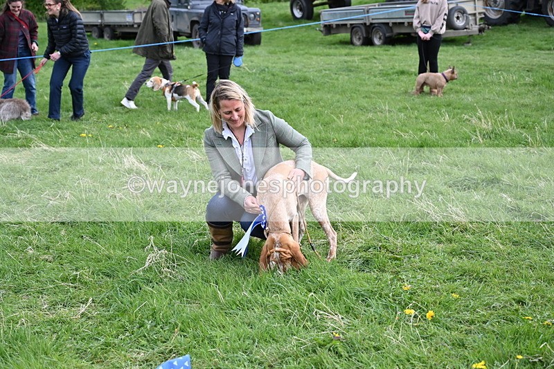 WJ6_8170 - Class 2 Best Pedigree