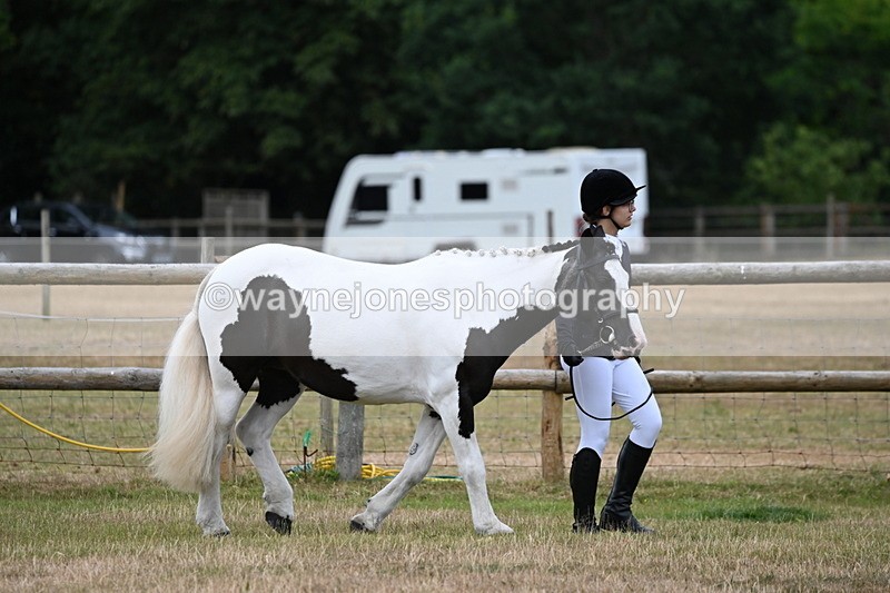 WJ6_4141 - Class 10 Coloured In-hand