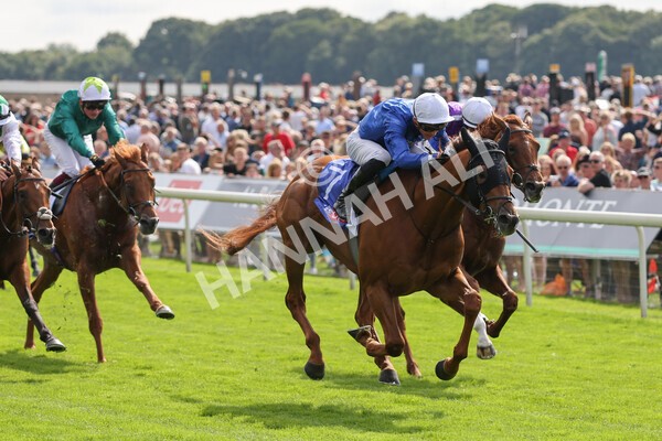 yr18082021r3-65 - Race 3 3.00pm Sky Bet Great Voltigeur Stakes