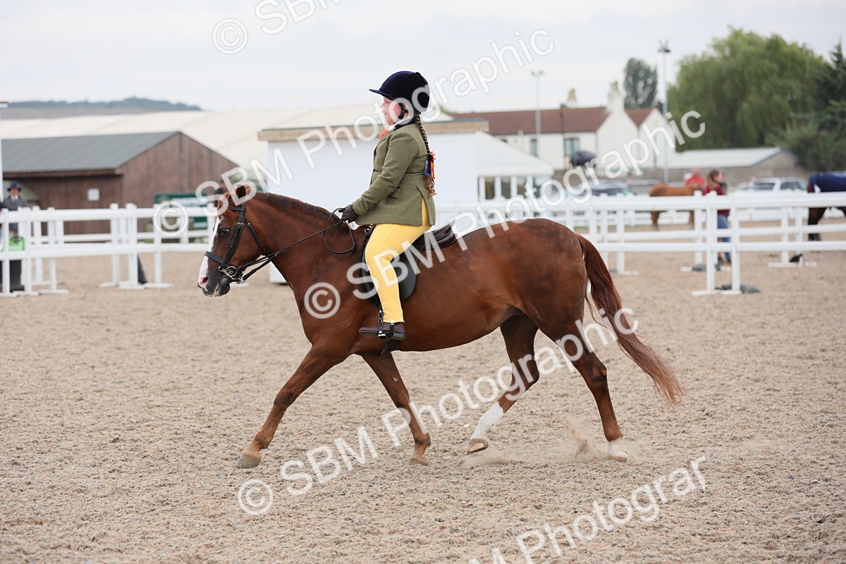 SBM_18167 - Class 316 Best Pony/Rider Combination
