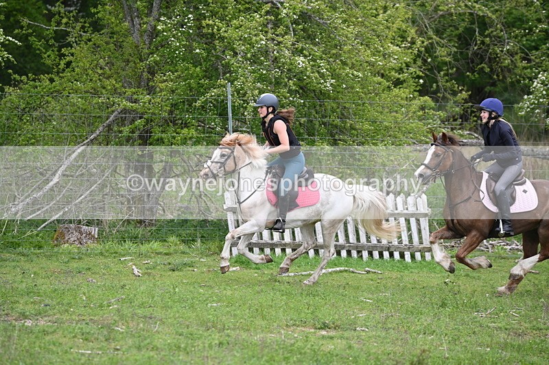 WJ6_3388 - A camera