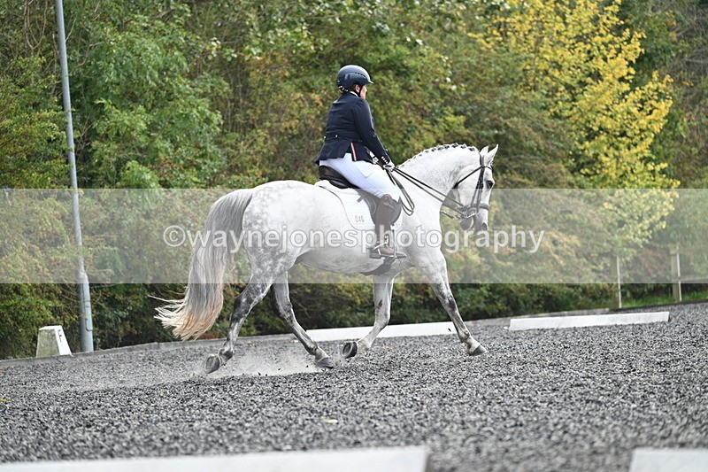 WJ7_6905 - Time 14:49 to 15:14