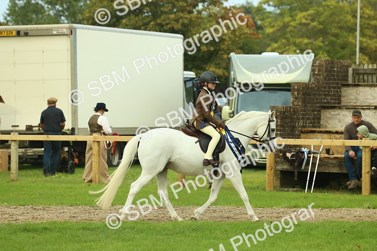 SBM_75241 - Super Supreme Championship