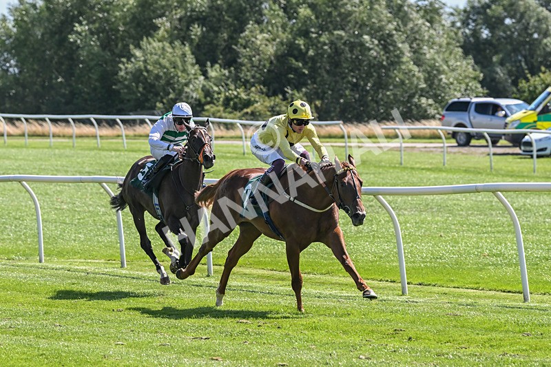 050825-Race 1-Reverberate-5029 - Race 1