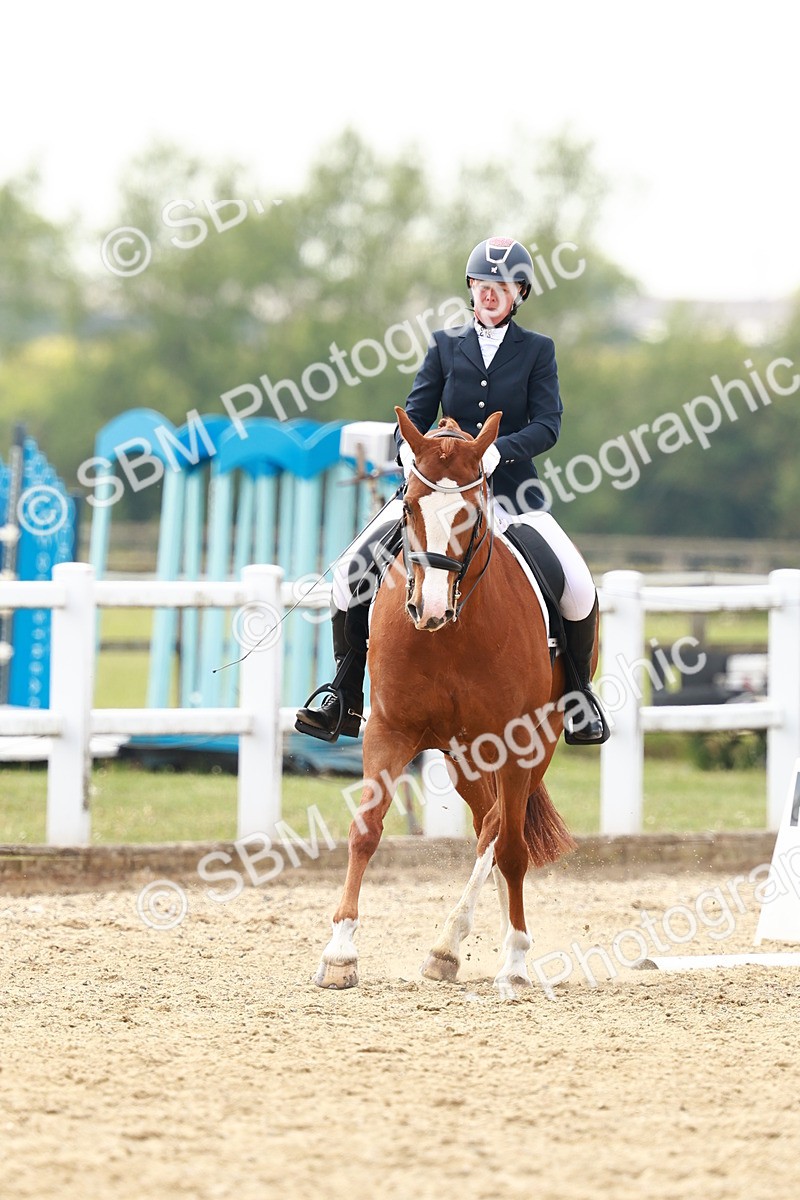 SBM_002861 - Class 12 - Medium 4