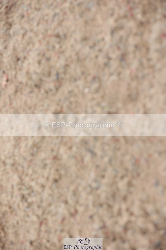 250524-100106-04037 - Cls 13  A&B 1.05m & 1.10m open