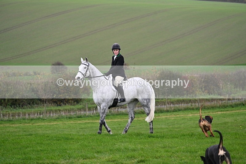 WJ7_8837 - Meet Staff & Hounds