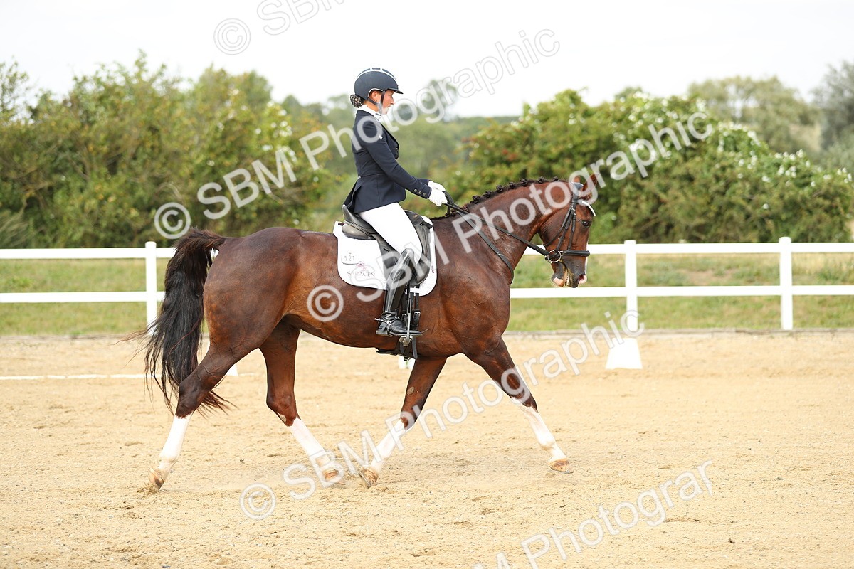 SBM_018443 - Class 14 - Novice 23 - 15.16-16.19