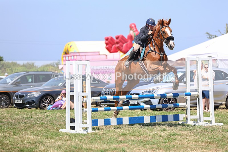 3E7A4420 - Class 10: Senior British Novice/90cm open