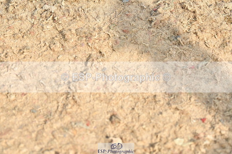 230721A-094046-04795 - Cls 26, 5 Yr Olds 1.10m