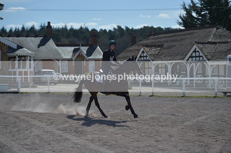 NGP_8454 - XC Time 13:35 to 13:40