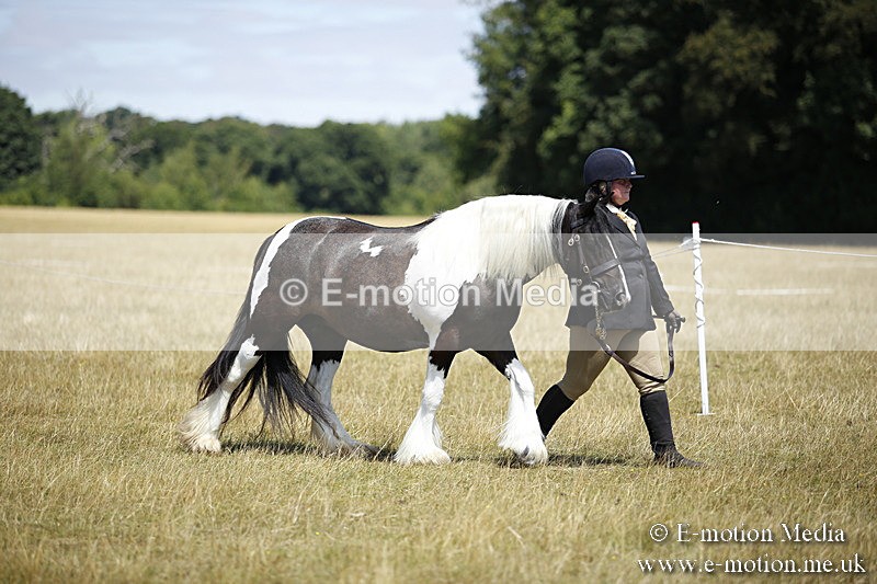 _C7A0024 - BVRC Sow 2018 Ring 2