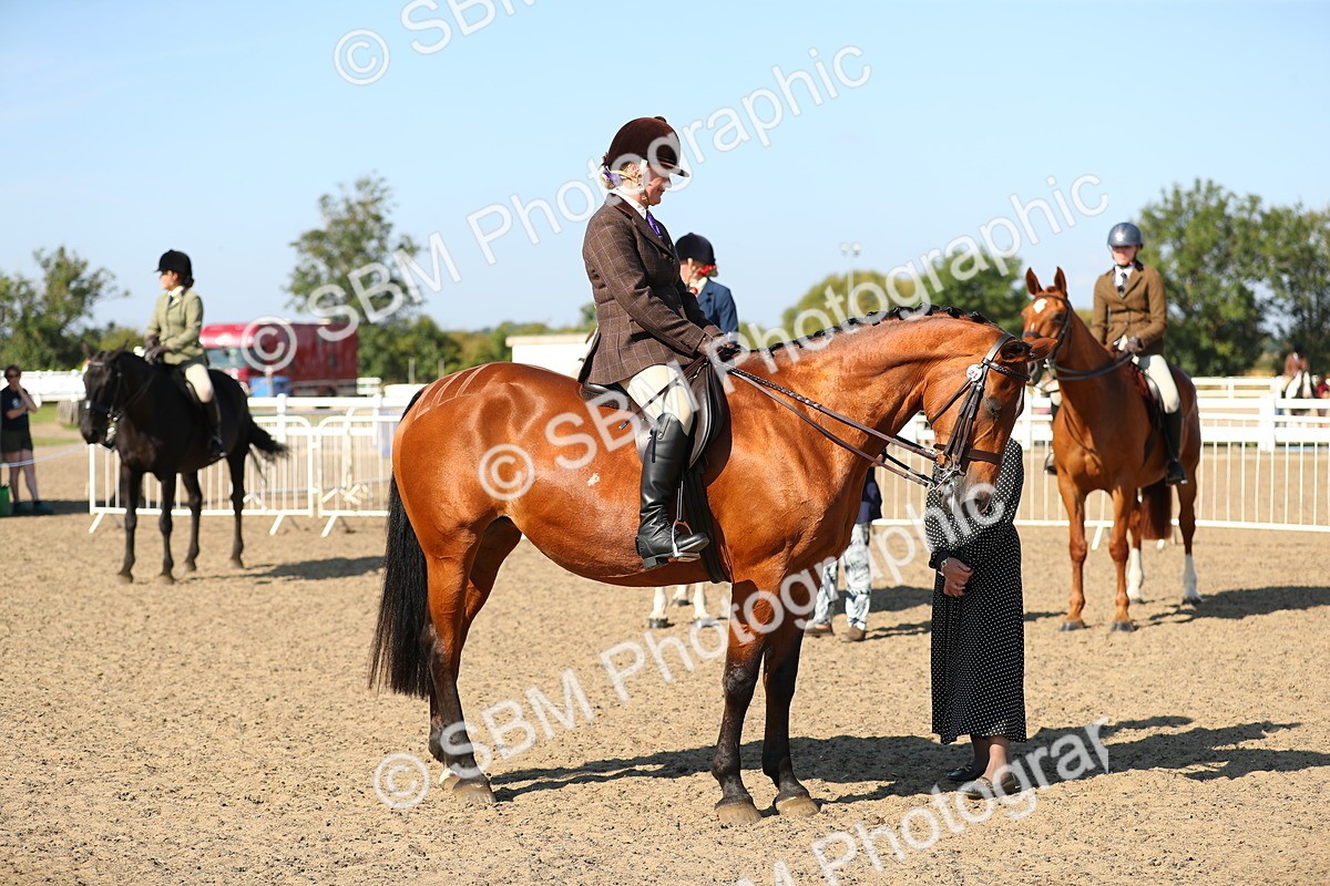 SBM_02271 - Class 43 Ridden Competition Horse/Pony