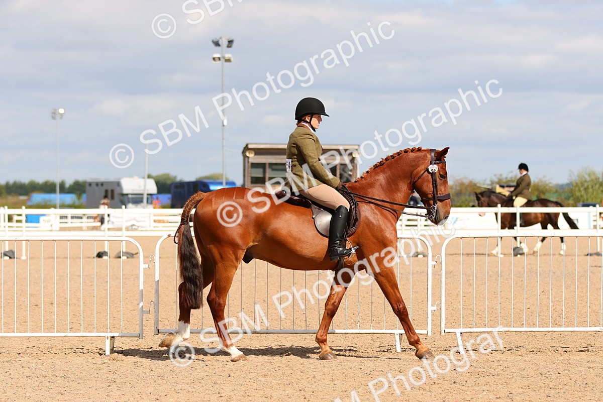 SBM_13164 - Class 211 - Ridden Hunter - Small