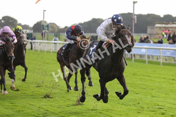 yr07102022r4-43 - Race 4 3.50pm William Hill Best Odds Guaranteed Stakes