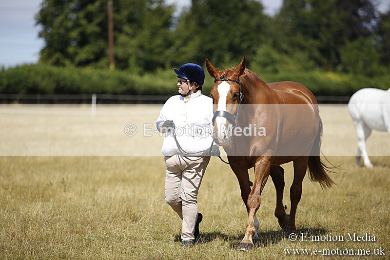 _C7A9693 - BVRC Sow 2018 Ring 2