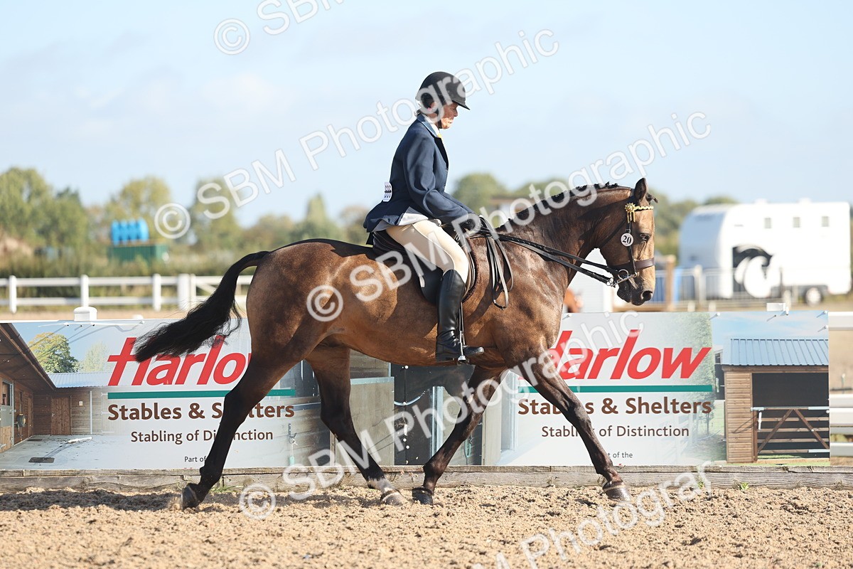 SBM_22292 - Class 803 - Ridden Combination 65+