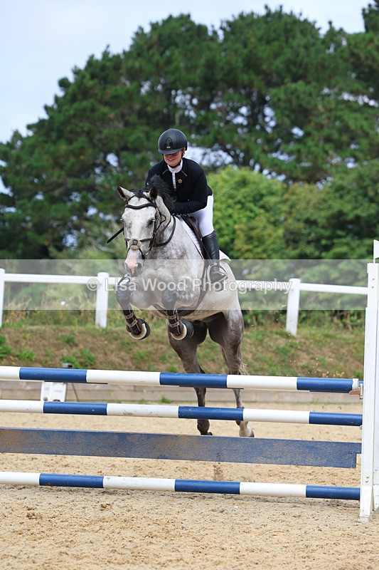 3E7A5080 - Class 4: Senior British Novice/90cm open
