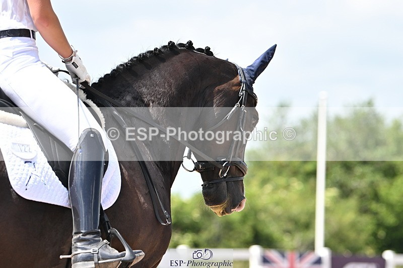 240621A-142412-03910 - Cls 11 BD Medium 73