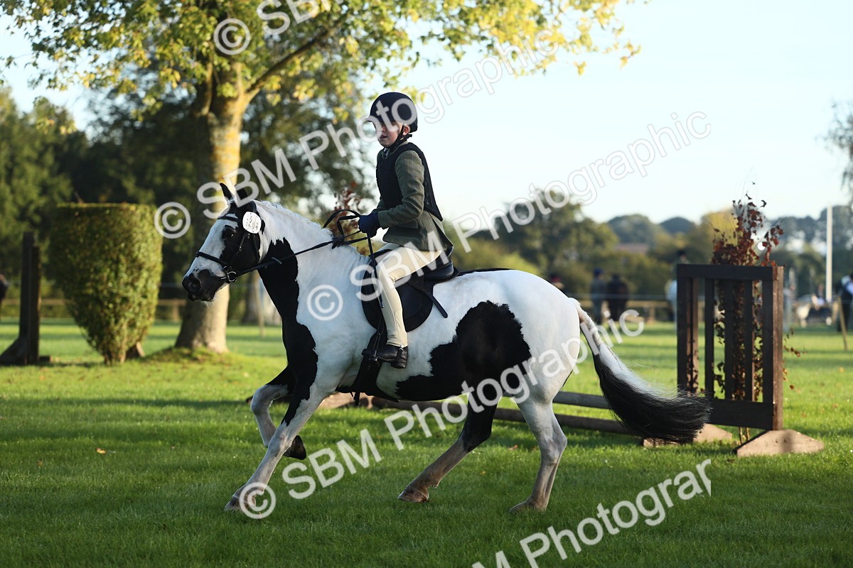 SBM_31746 - S28 - Nursery Stakes Working Hunter Pony