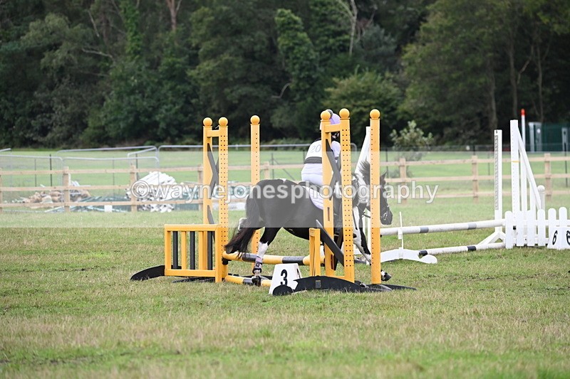 WJ6_0350 - 40cm Time 10:00 to 10:28