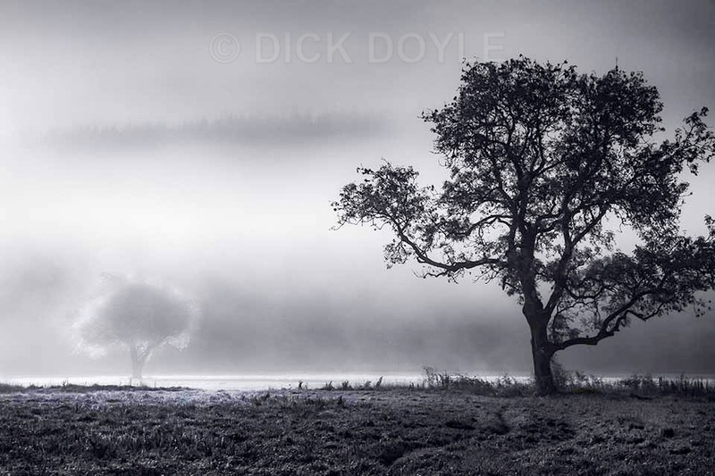 Little and large - MONOCHROME LANDSCAPES