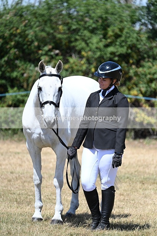 WJ7_2334 - Class 5a Most Handsome Gelding in hand (above 14.2hh)