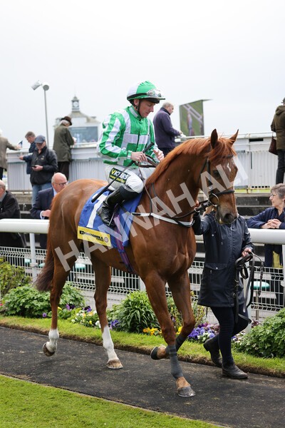 yr11052022r2-13 - Race 2 2.25pm Churchill Tyres Stakes