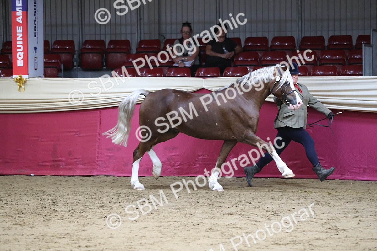 SBM_06360 - Class 9R Regional- IH Pre Vet