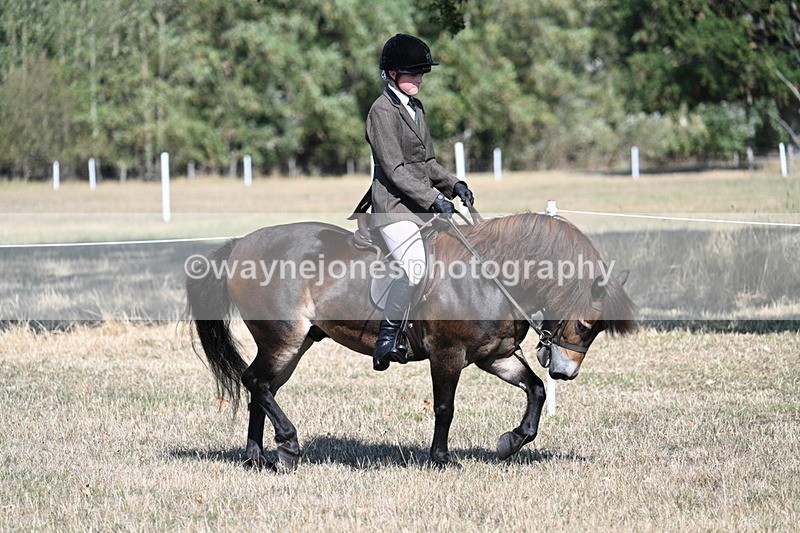 WJ7_3477 - Class 9 Mountain & Moorland Ridden